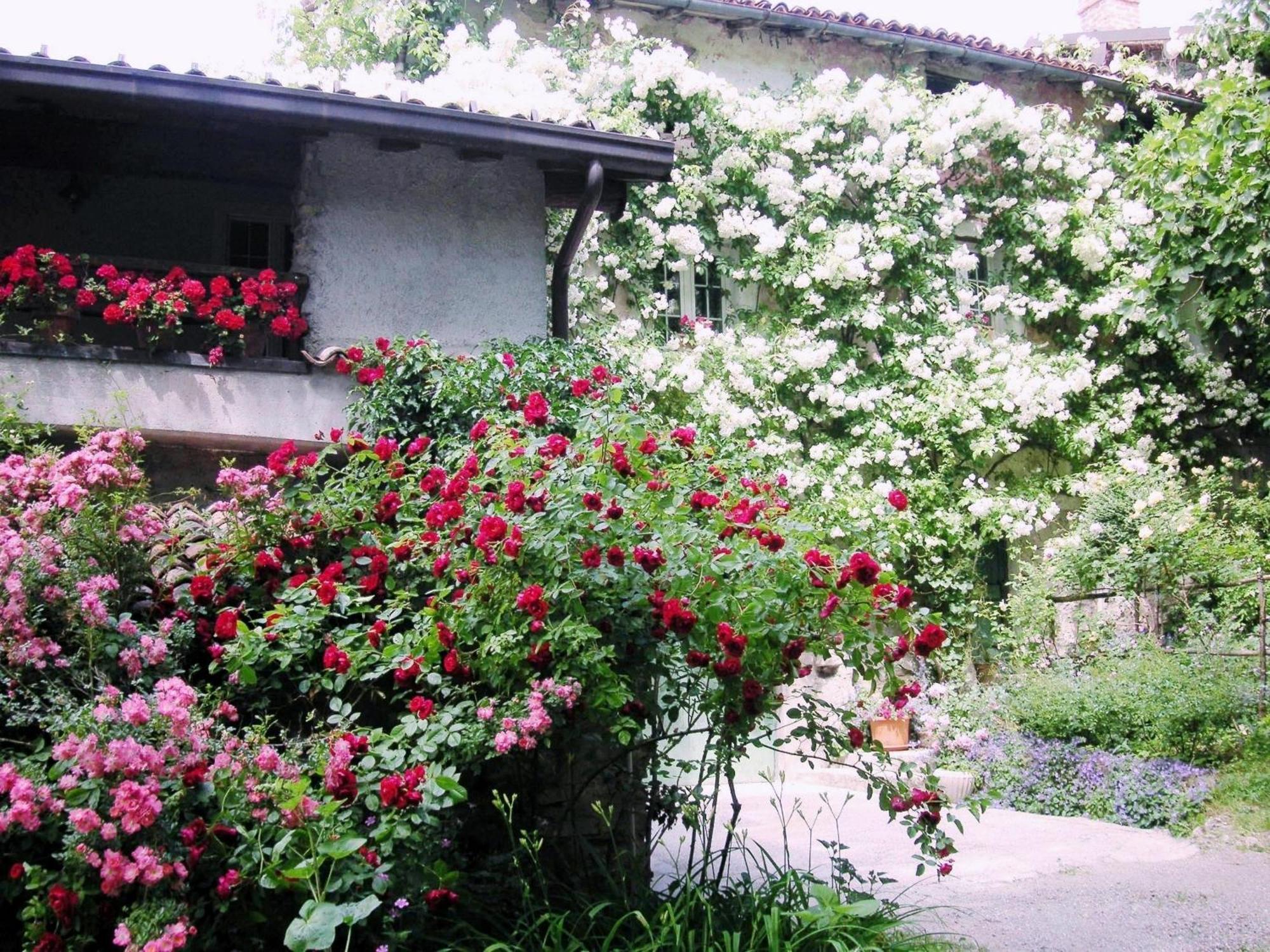 La Traversina Stazzano Exterior foto