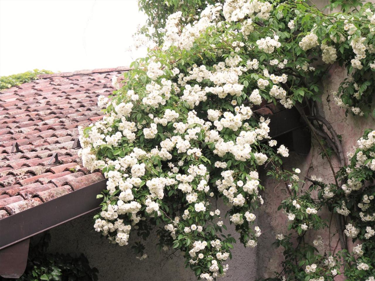 La Traversina Stazzano Exterior foto
